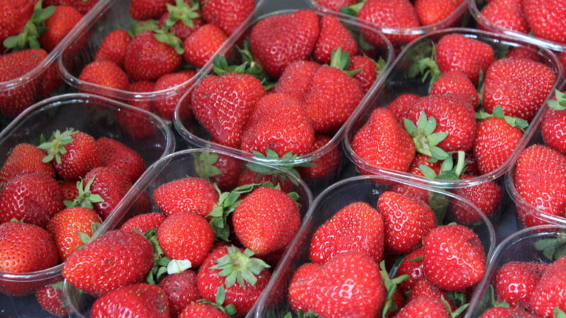National California Strawberry Day - March 21