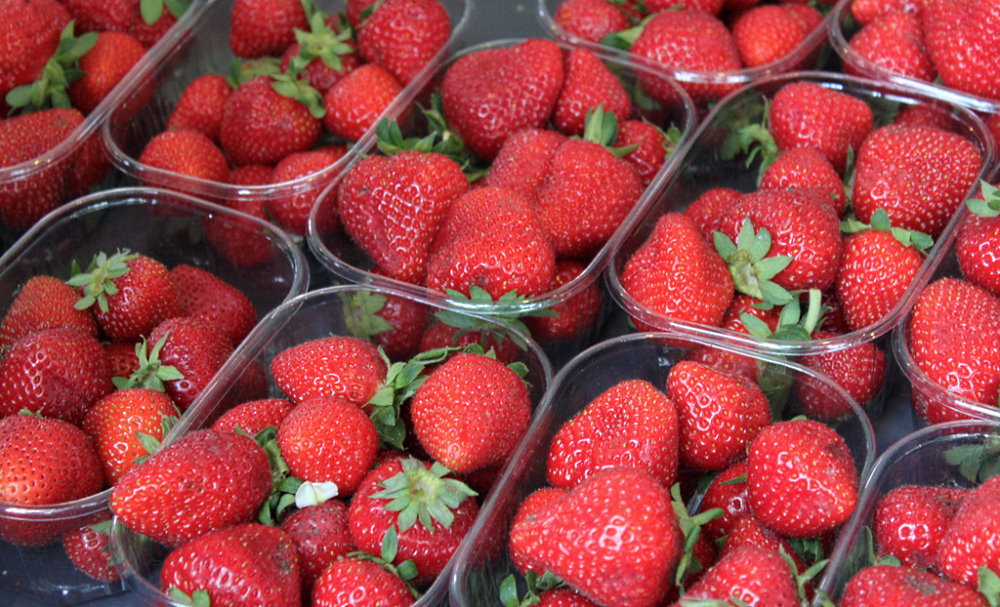 National California Strawberry Day - March 21