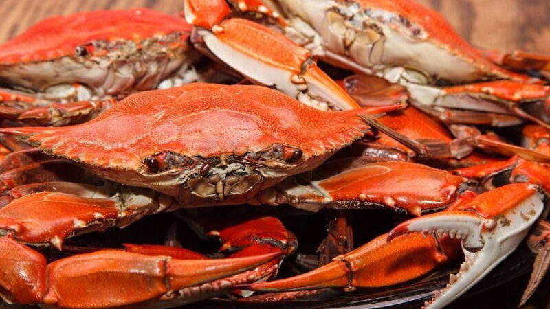 National Crabmeat Day - March 9