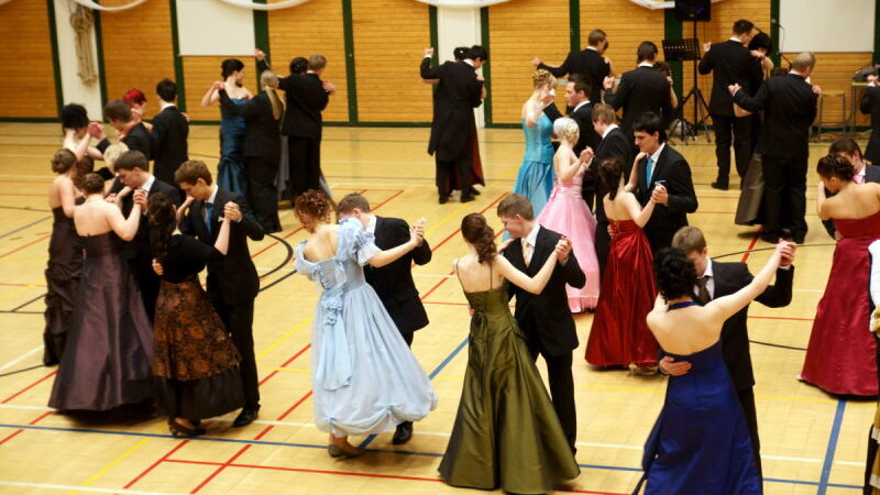 National Dance the Waltz Day - march