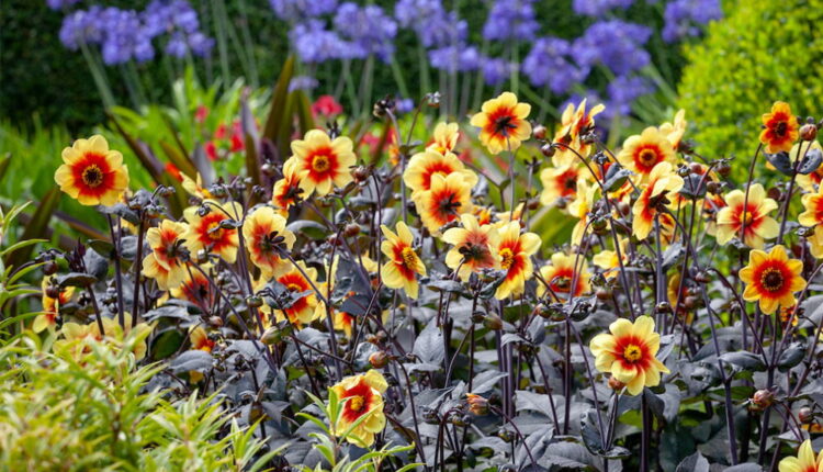 National Gardening Day - April 14