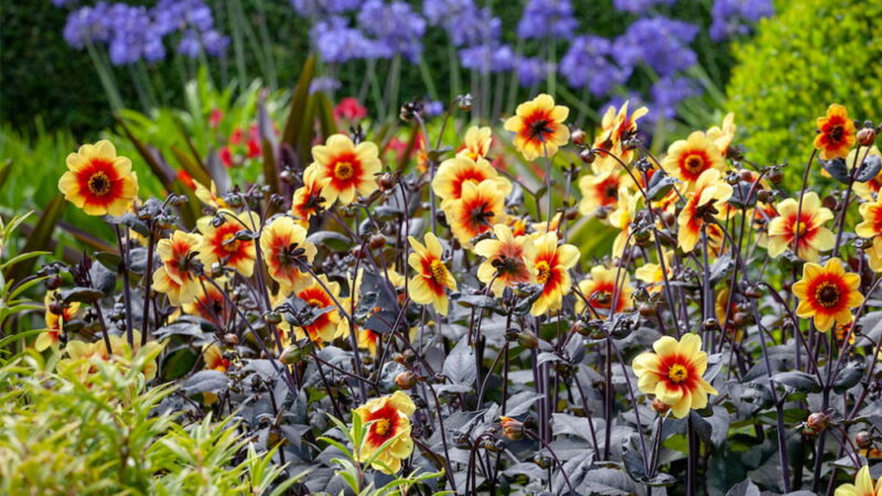 National Gardening Day - April 14