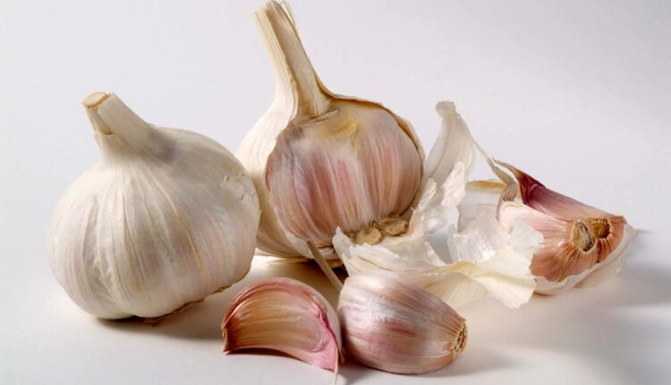 National Garlic Day - April 19