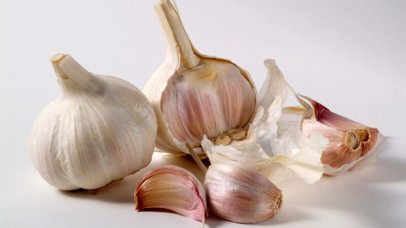 National Garlic Day - April 19