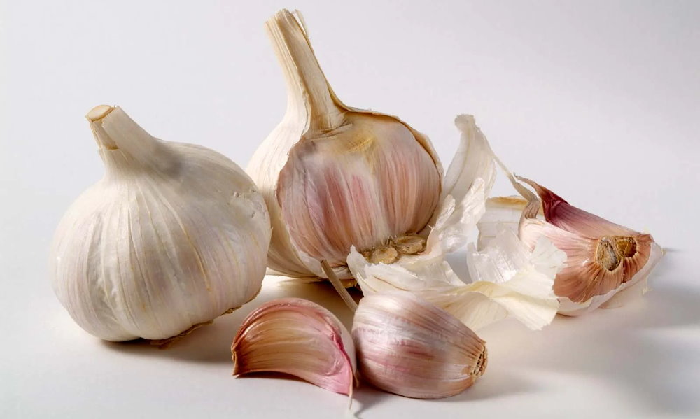 National Garlic Day - April 19