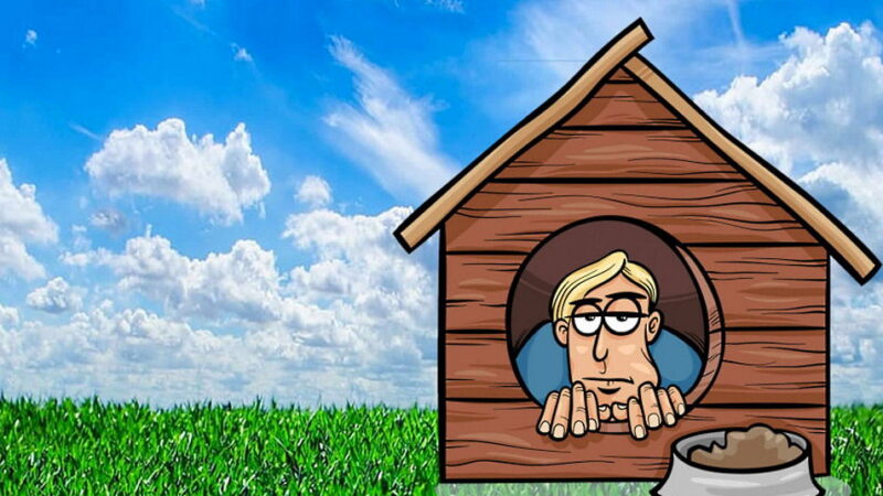National Get Out of the Dog House Day - July