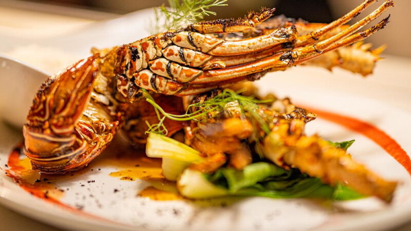 National Lobster Newburg Day - March 25