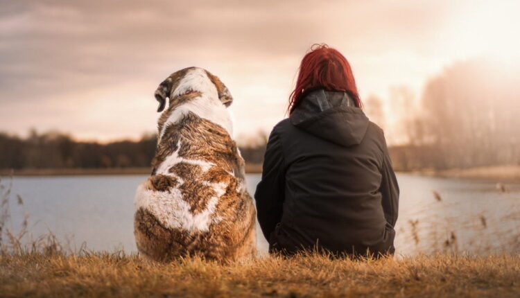 National Lost Dog Awareness Day - April 23