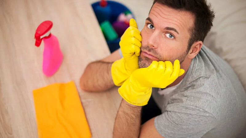 National No Housework Day - April 7