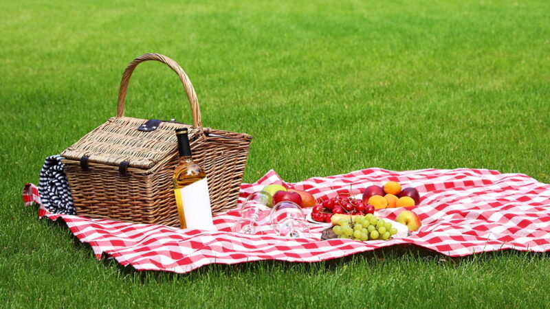 National Picnic Day - April 23