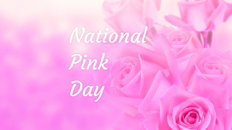 National Pink Day - June 23