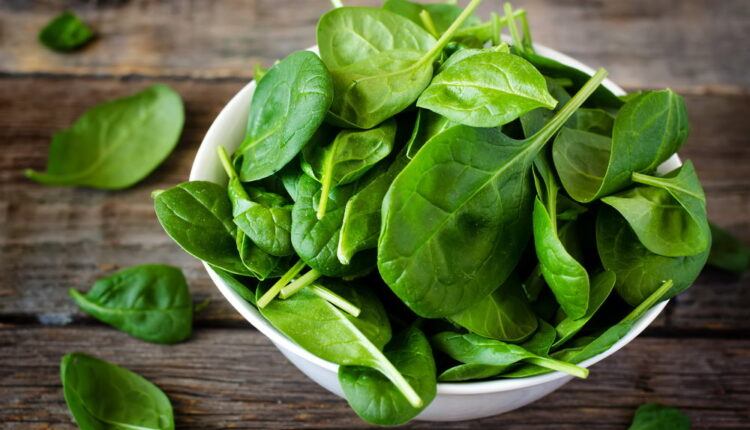 National Spinach Day - March 26
