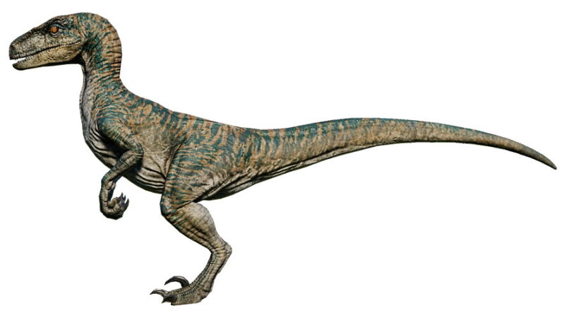 National Velociraptor Awareness Day - April 18