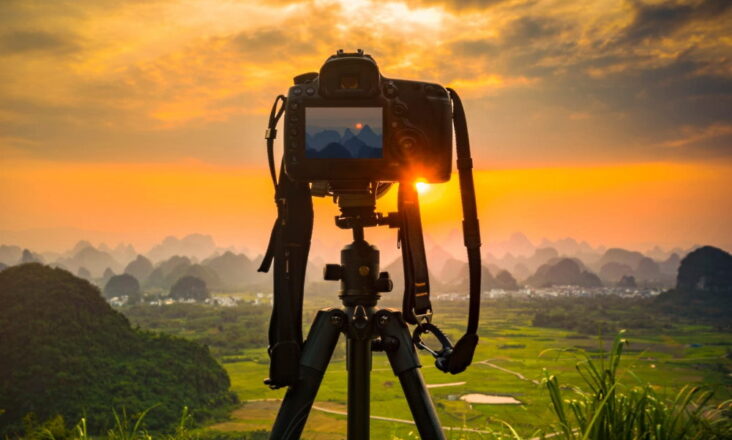 Nature Photography Day - June 15
