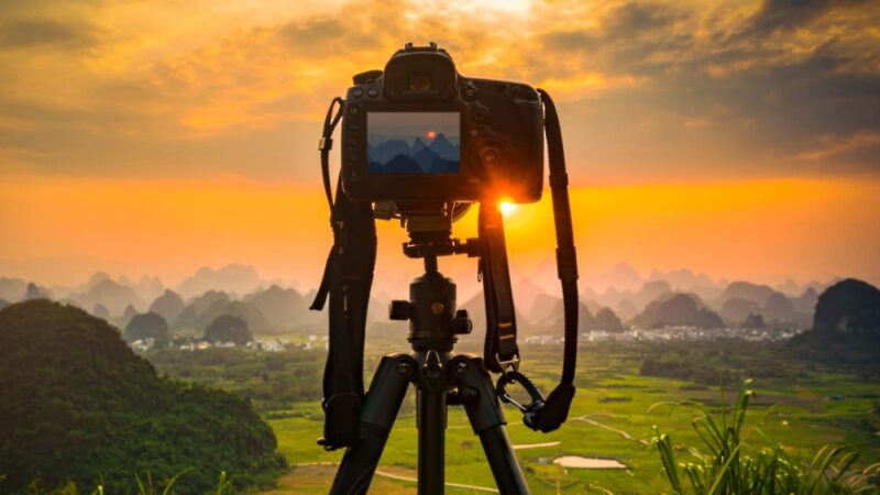 Nature Photography Day - June 15