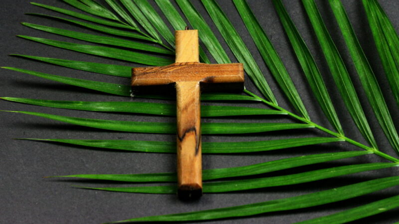 Palm Sunday