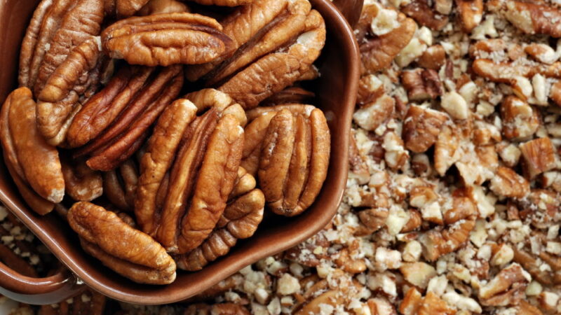 Pecan Day - March 25