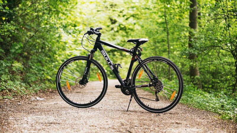World Bicycle Day - June 3