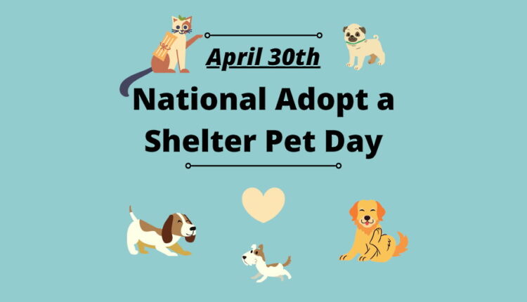 Adopt a Shelter Pet Day - April 30