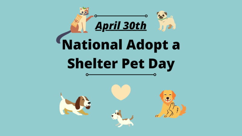 Adopt a Shelter Pet Day - April 30