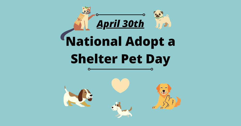 Adopt a Shelter Pet Day - April 30