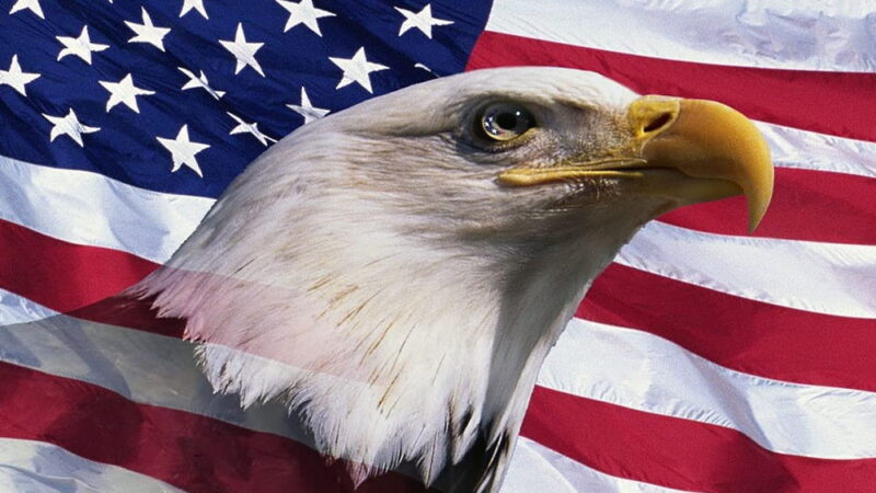 American Eagle Day - June 20