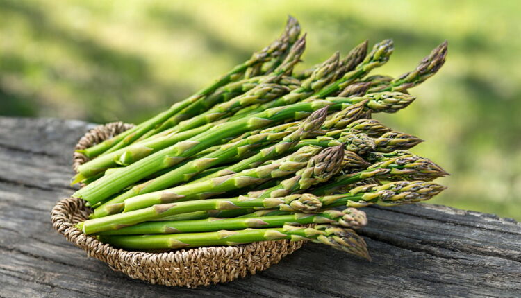 Asparagus Day - May 24