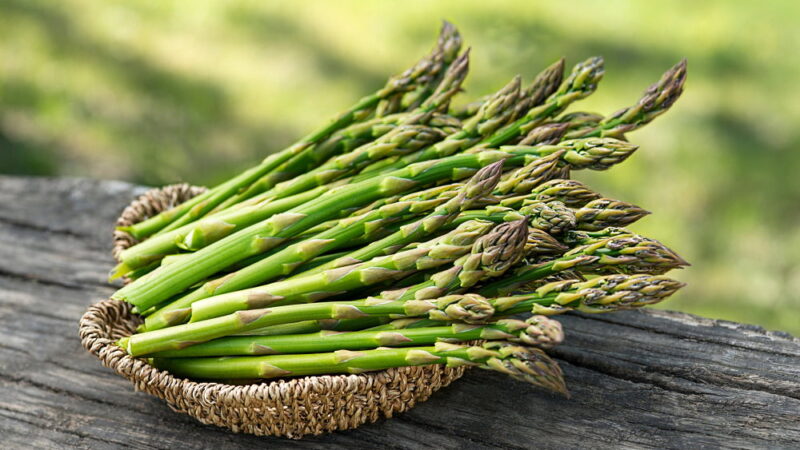 Asparagus Day - May 24