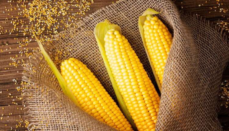 Corn on the Cob Day - June 11