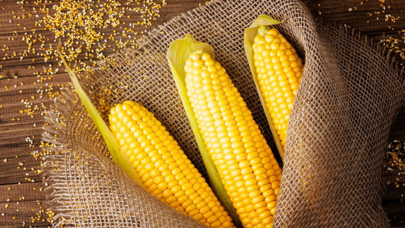 Corn on the Cob Day - June 11