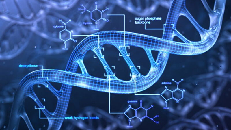 DNA Day - April 25