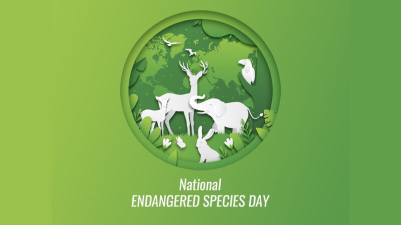 Endangered Species Day - May