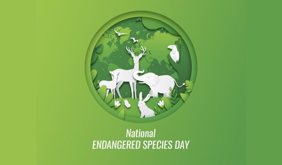 Endangered Species Day | Weird and Crazy Holidays