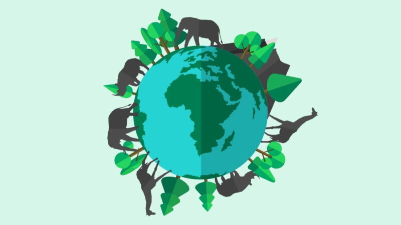 International Day for Biological Diversity - May 22