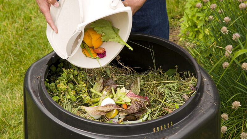 Learn About Composting Day - May 29