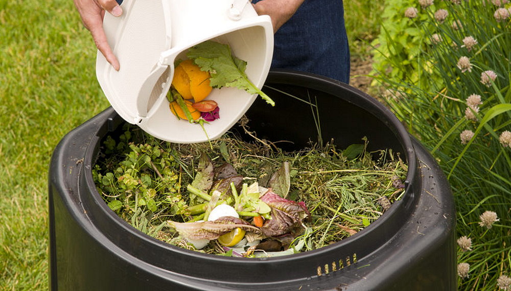 Learn About Composting Day - May 29
