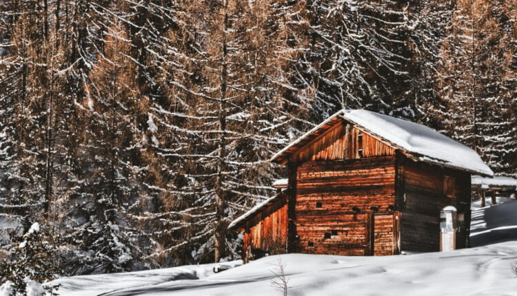 Log Cabin Day - June