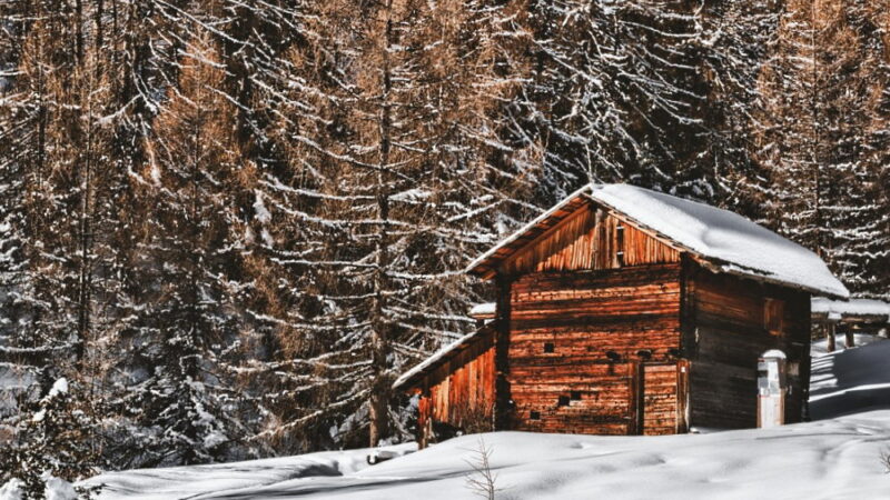 Log Cabin Day - June