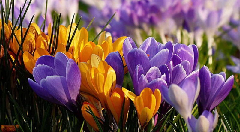 March