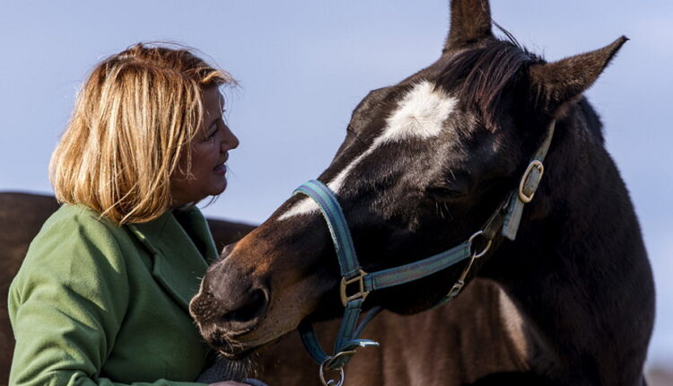 National Animal Advocacy Day - April 30
