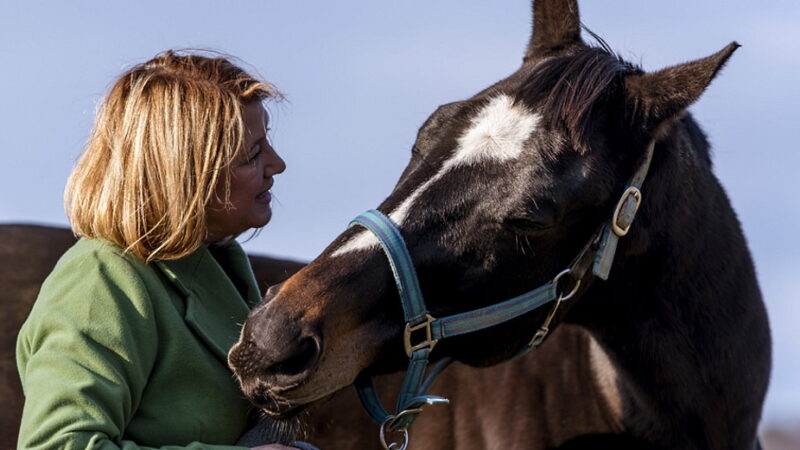 National Animal Advocacy Day - April 30