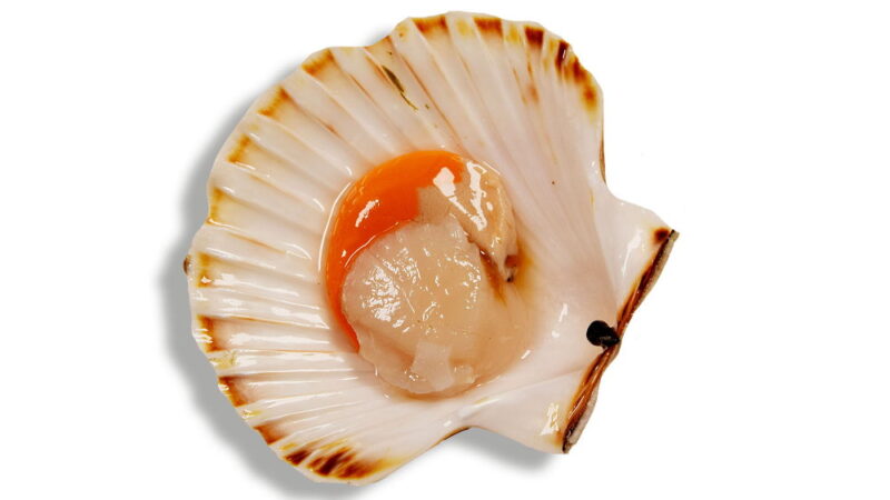 National Coquilles St. Jacques Day - May 16