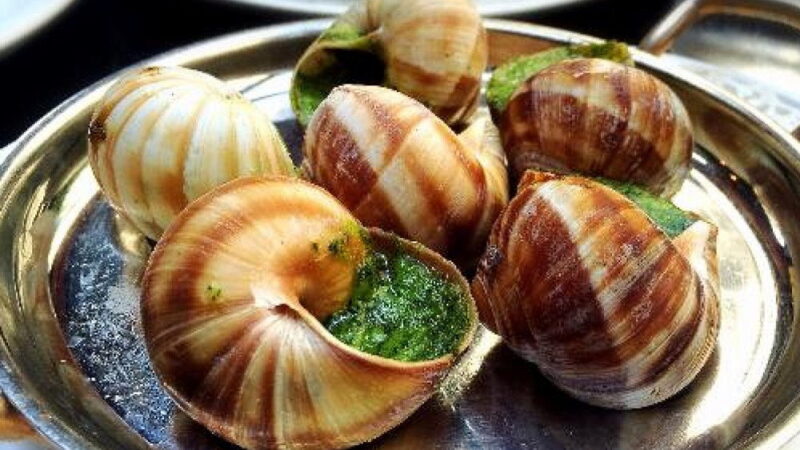 National Escargot Day - May 24