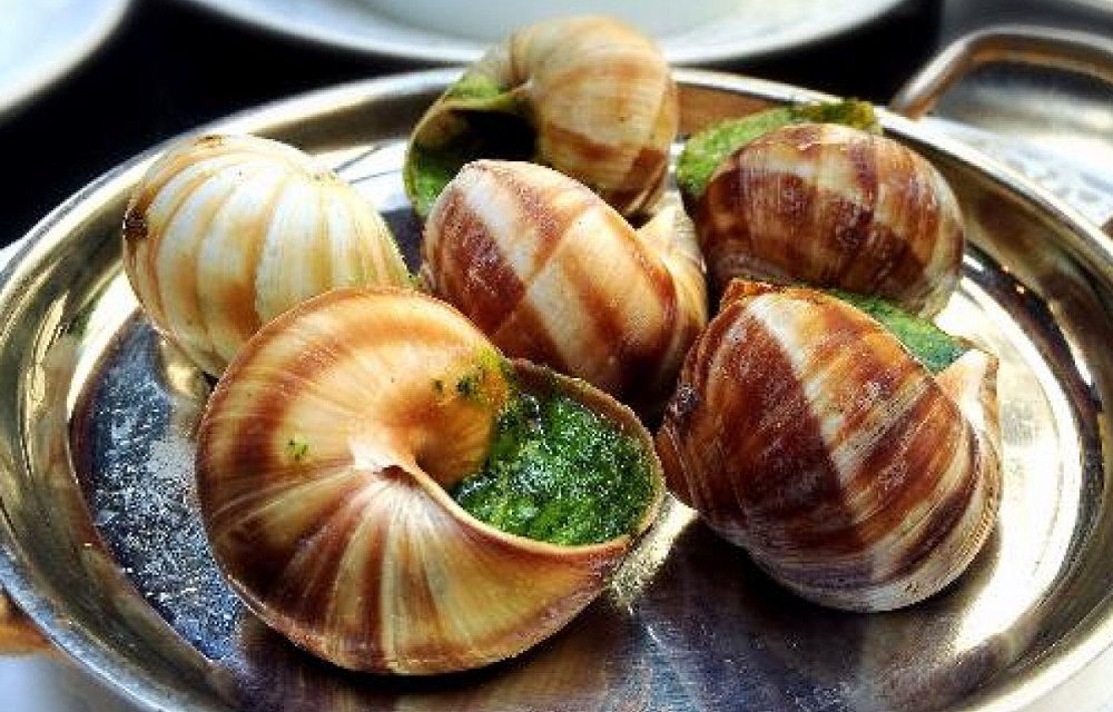 National Escargot Day - May 24