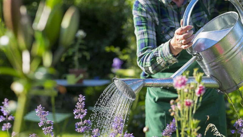 National Gardening Exercise Day - June 6