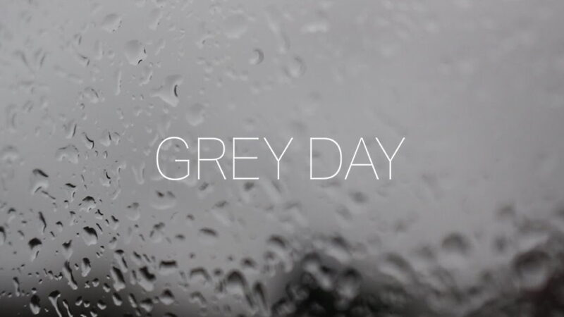 National Grey Day - May 26