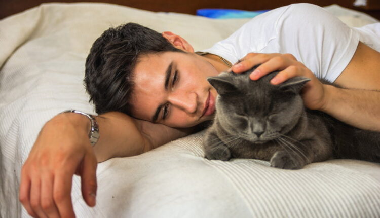 National Hug Your Cat Day - June 4