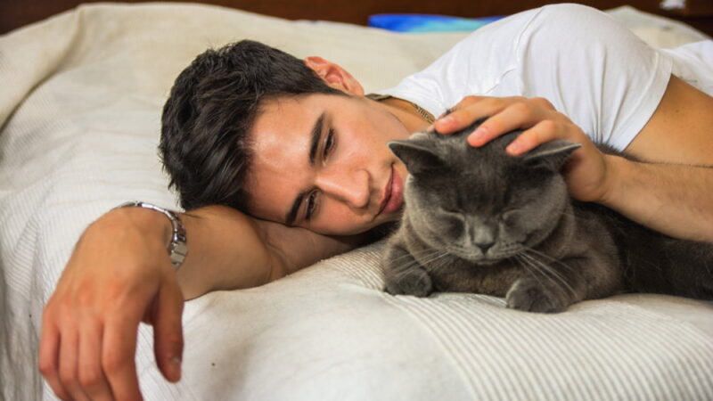 National Hug Your Cat Day - June 4