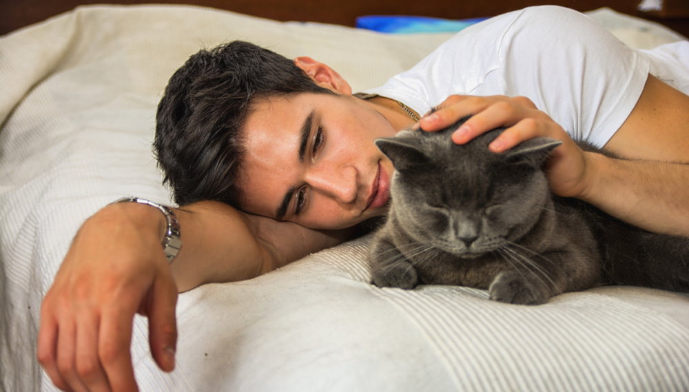 National Hug Your Cat Day - June 4