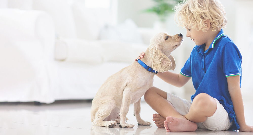 National Kids and Pets Day - April 26